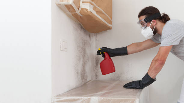 Professional Mold Inspection technician working in Ocean Beach, NY